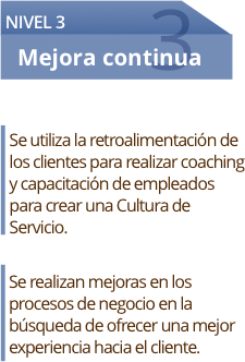 Niveles de madurez en el Servicio al cliente 3